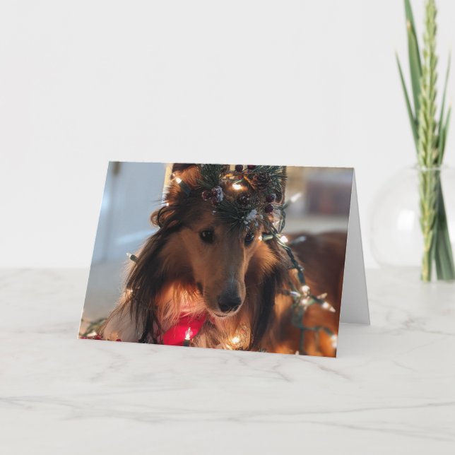 Bereit für Weihnachtsfeiertage Karte (Vorderseite)