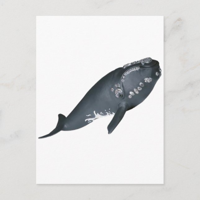 BEREIT ZUM BREACH POSTKARTE (Vorderseite)