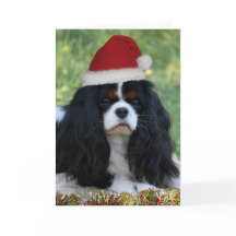 Bereiten Sie für Weihnachten vor