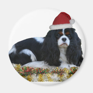 Bereiten Sie für Weihnachten vor Magnet