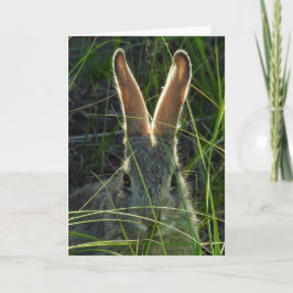 Berg Cottontail Notecard Karte