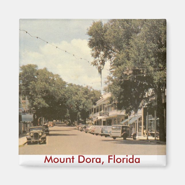 Berg Dora, Florida Magnet (Vorne)