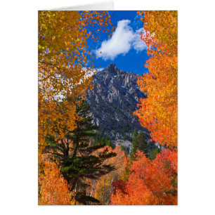 Berg eingerahmt im Herbstlaub, CA