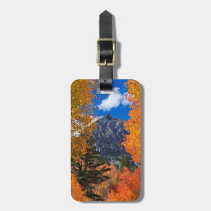 Berg eingerahmt im Herbstlaub, CA Gepäckanhänger
