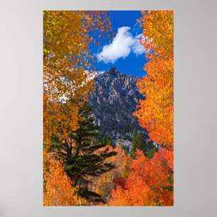 Berg eingerahmt im Herbstlaub, CA Poster