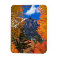 Berg gerahmt im Herbstwald, CA