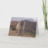 Berg Leonberger
