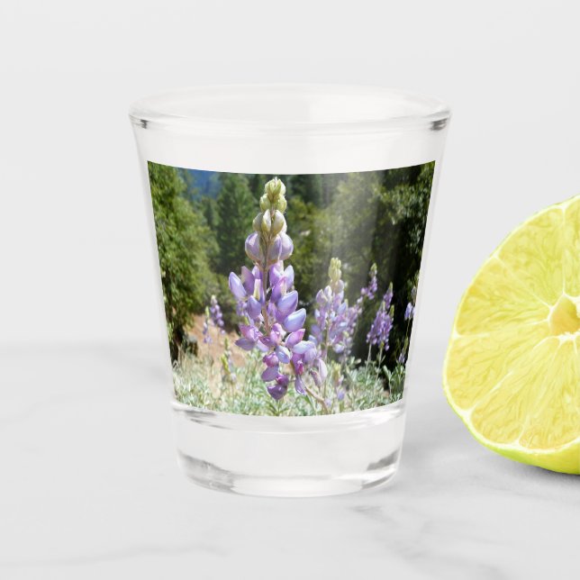 Berg-Lupinen im Yosemite Schnapsglas (Vorderseite)
