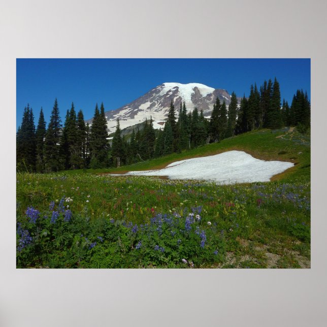 Berg Rainier, Wildblumen und Schnee Poster (Vorne)