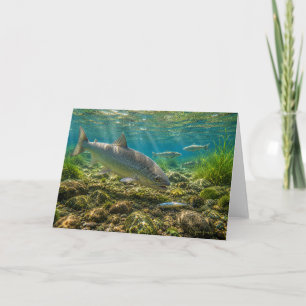 Berg-Weißfisch-Grußkarte Karte
