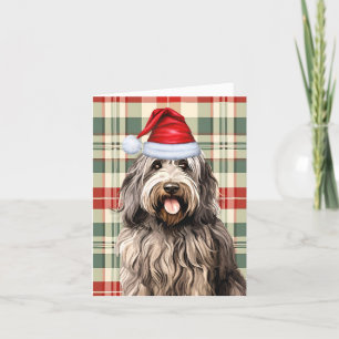 Bergamasco Christmas Dog Kariert Feiertagskarte