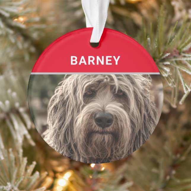 Bergamasco Dog's Name und Foto Weihnachten Ornament (Baum)