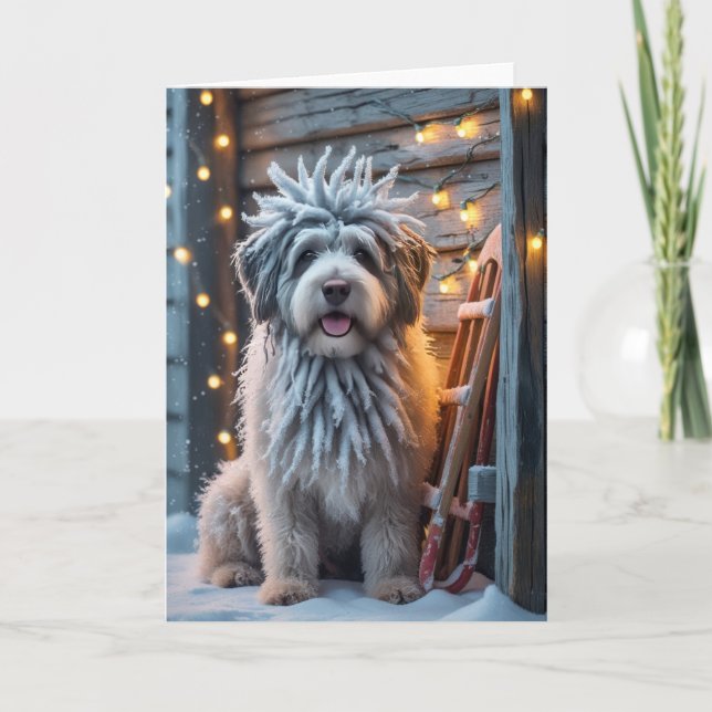 Bergamasco Sheepdog Hund Weihnachtsgrüßkarte Karte (Vorderseite)