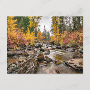 Bergbach im Herbst/Herbst-Foto Postkarte