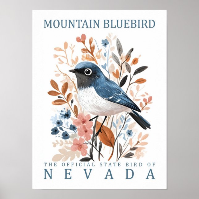 Bergblauring Nevada USA Vogel Poster (Vorne)