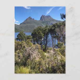 Bergbusch Postkarte