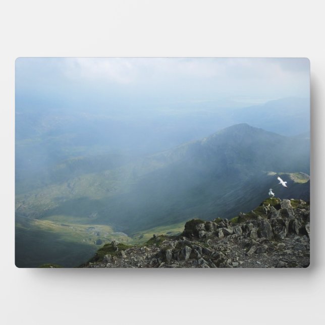 BERGE FOTOPLATTE (Vorderseite)