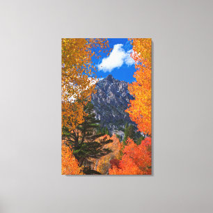 Berge gerahmt in Laubblättern, CA Leinwanddruck