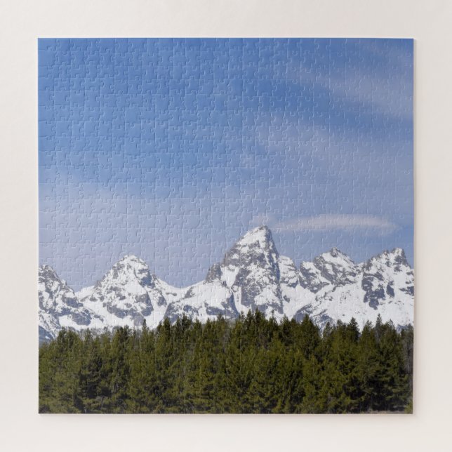 Berge, Pinienbäume und Blauer Himmel - 20 x 20 Zol (Vertikal)