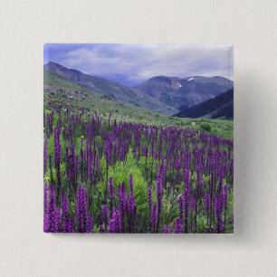 Berge und Wildblumen auf Almwiese, 2 Button