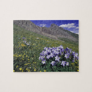 Berge und Wildblumen auf Almwiese, Blau