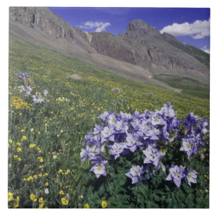 Berge und Wildblumen auf Almwiese, Blau Fliese
