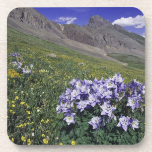Berge und Wildblumen auf Almwiese, Blau Getränkeuntersetzer