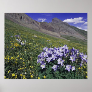 Berge und Wildblumen auf Almwiese, Blau Poster