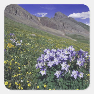 Berge und Wildblumen auf Almwiese, Blau Quadratischer Aufkleber