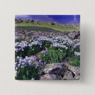 Berge und Wildblumen auf Almwiese, Button