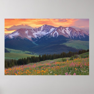 Berge und Wildblumen Druck Colorado Poster