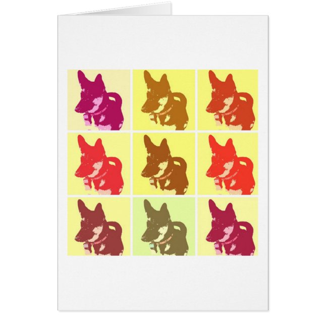 Berger allemand (Devant)