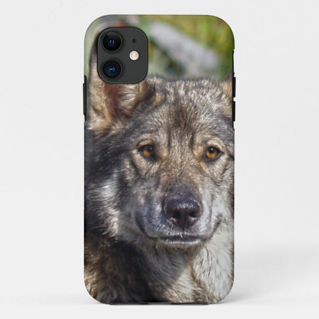 Berger allemand Alsacien Coque chien animal de com (Dos)