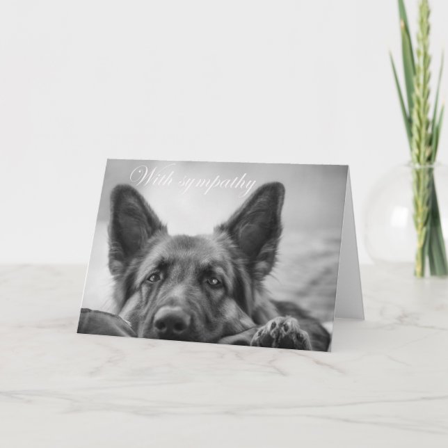 berger allemand avec carte de sympathie (Devant)