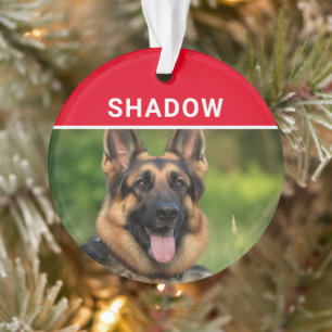 Berger Allemand avec photo du nom du chien Noël