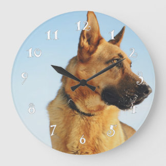 berger allemand, belle horloge murale & votre phot