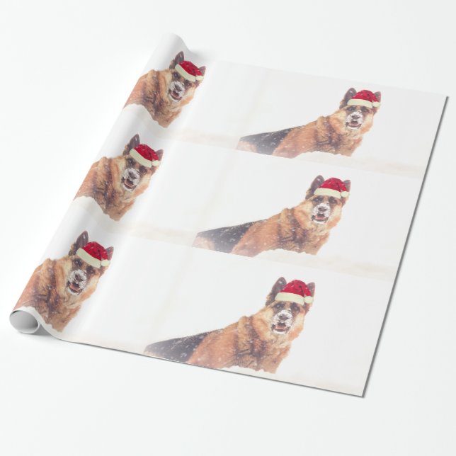Berger allemand dans le papier de cadeau de neige (Déroulé)