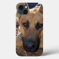 Berger allemand - Naps de chats, iPhone 13 Coque