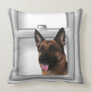 Berger allemand regardant le coussin de fenêtre