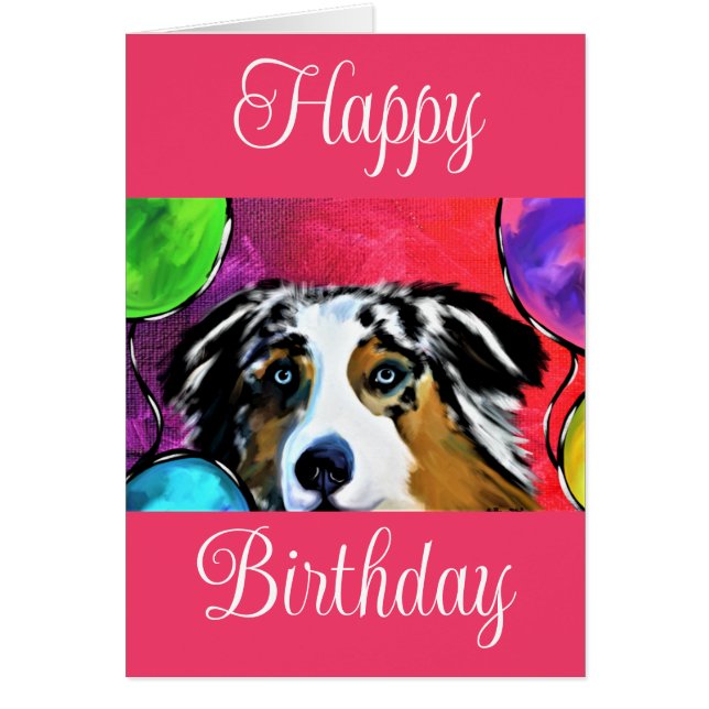 Berger australien (Devant)