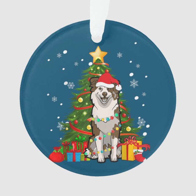 Berger australien Père Noël Christmas Tree Light (devant)