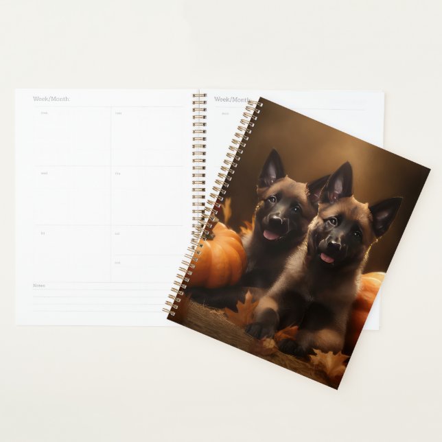 Berger belge Chiot Automne Citrouille de plaisir (Devant avec enveloppe)