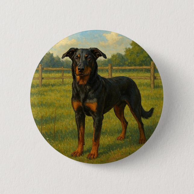 Berger de Beauce Button (Vorderseite)