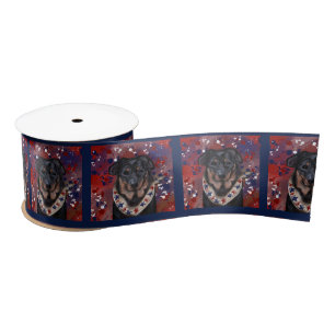 Berger de Beauce               Satinband