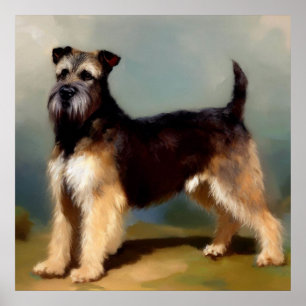Berger Picard Dog Poster