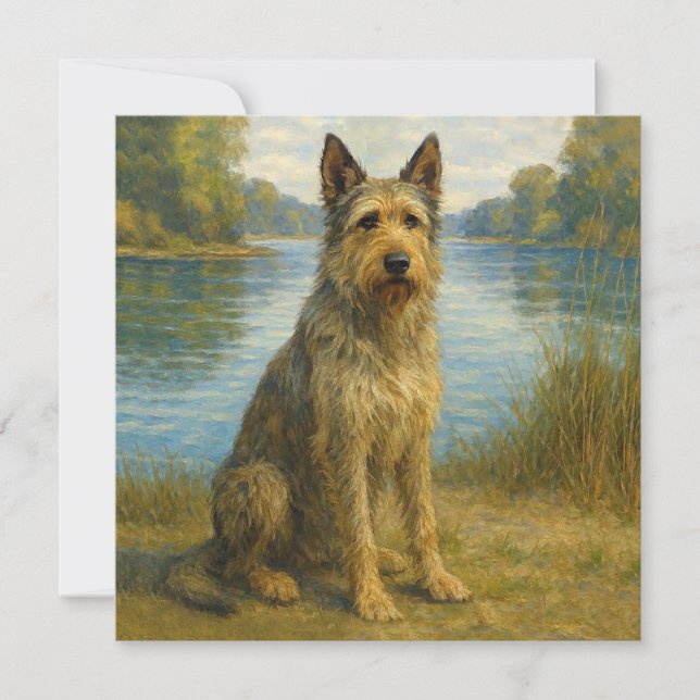 Berger Picard Karte (Vorderseite)