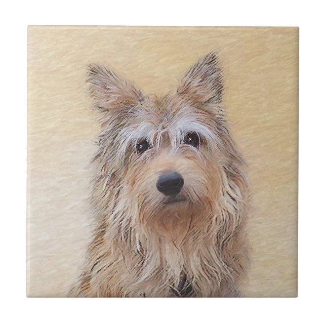 Berger Picard Malerei - Niedliche Original Hunde K Fliese (Vorderseite)