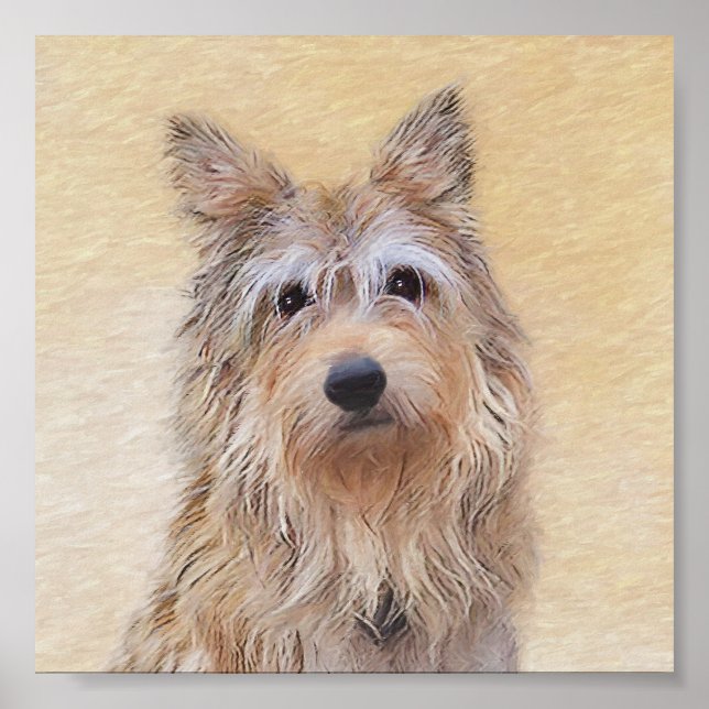 Berger Picard Malerei - Niedliche Original Hunde K Poster (Vorne)