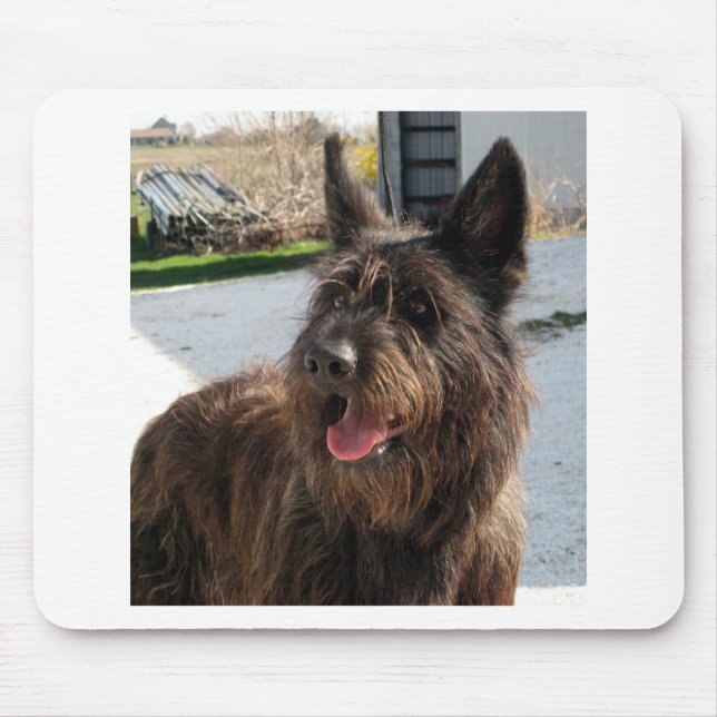 Berger Picard Mousepad (Vorne)
