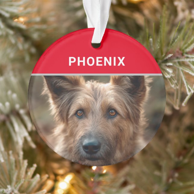 Berger Picard Nom et photo de Chien Noël (Arbre)